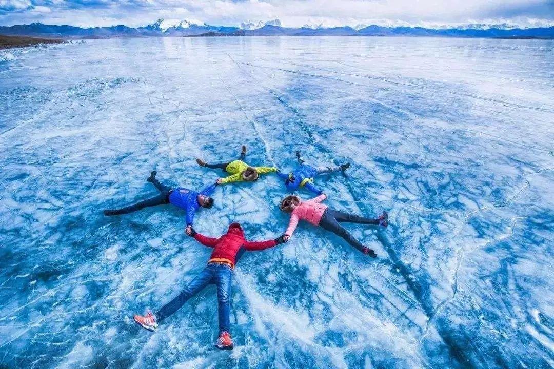 救援紫色生物